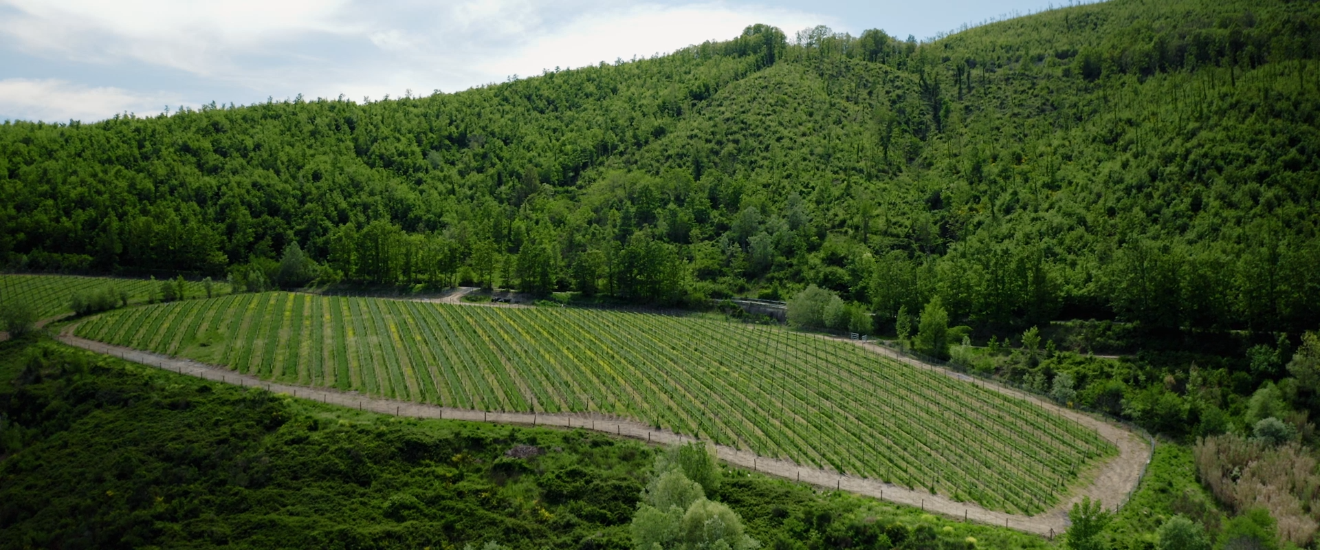 Azienda Agricola San Salvatore